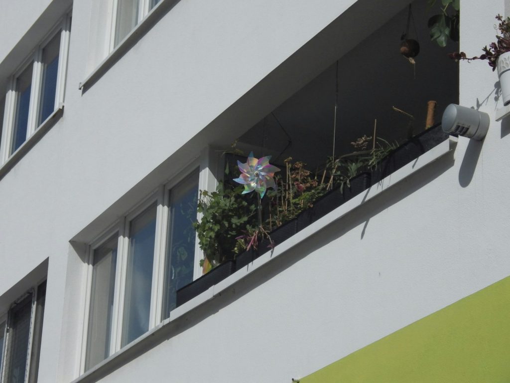 Balcony garden with potted plants along the railing