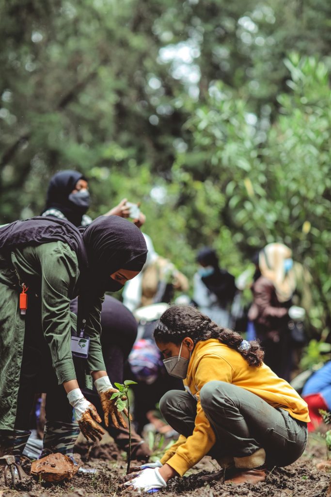 Volunteers and a child planting a young tree together