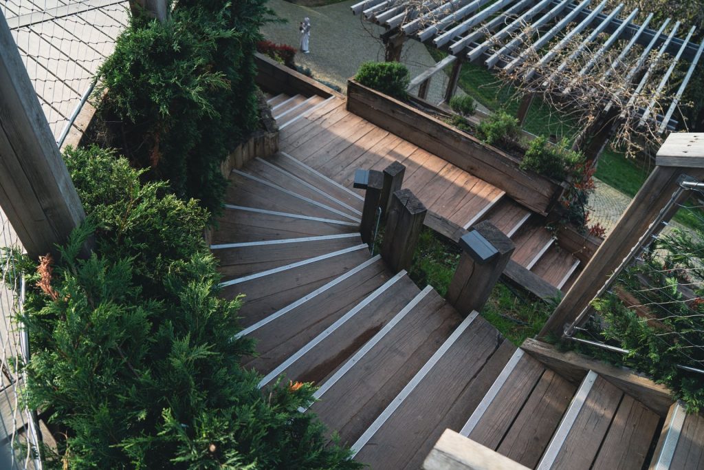 Garden steps framed by layered planting