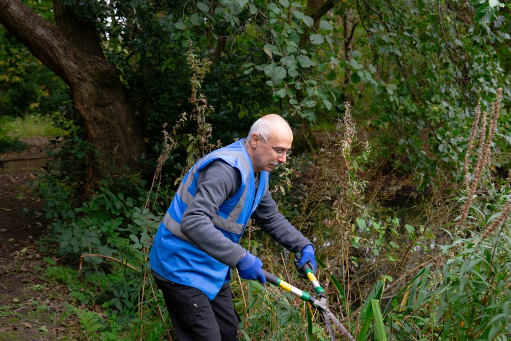 Gardener pruning overgrown shrubs with long-handled shears