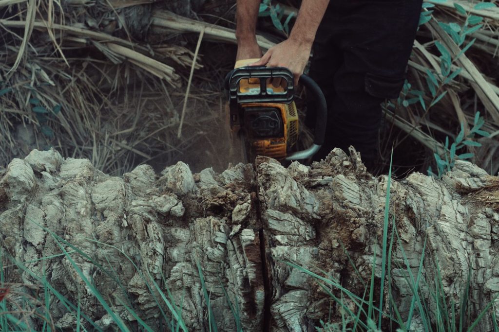 Close-up of a hedge being cut back with powered trimmers