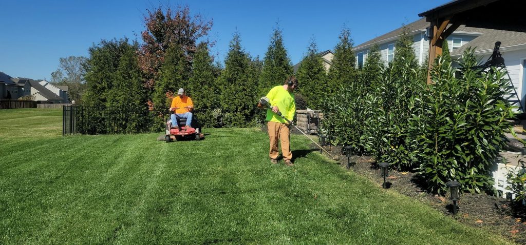 Gardener mowing a green lawn bordered by evergreen trees