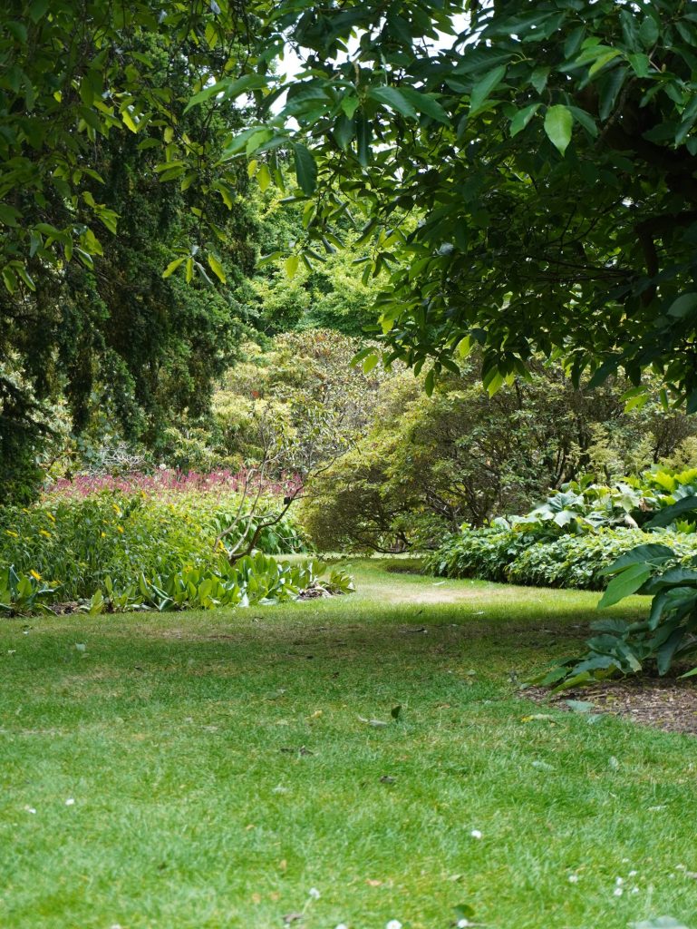 Lush maintained home garden with trees, shrubs and green lawn