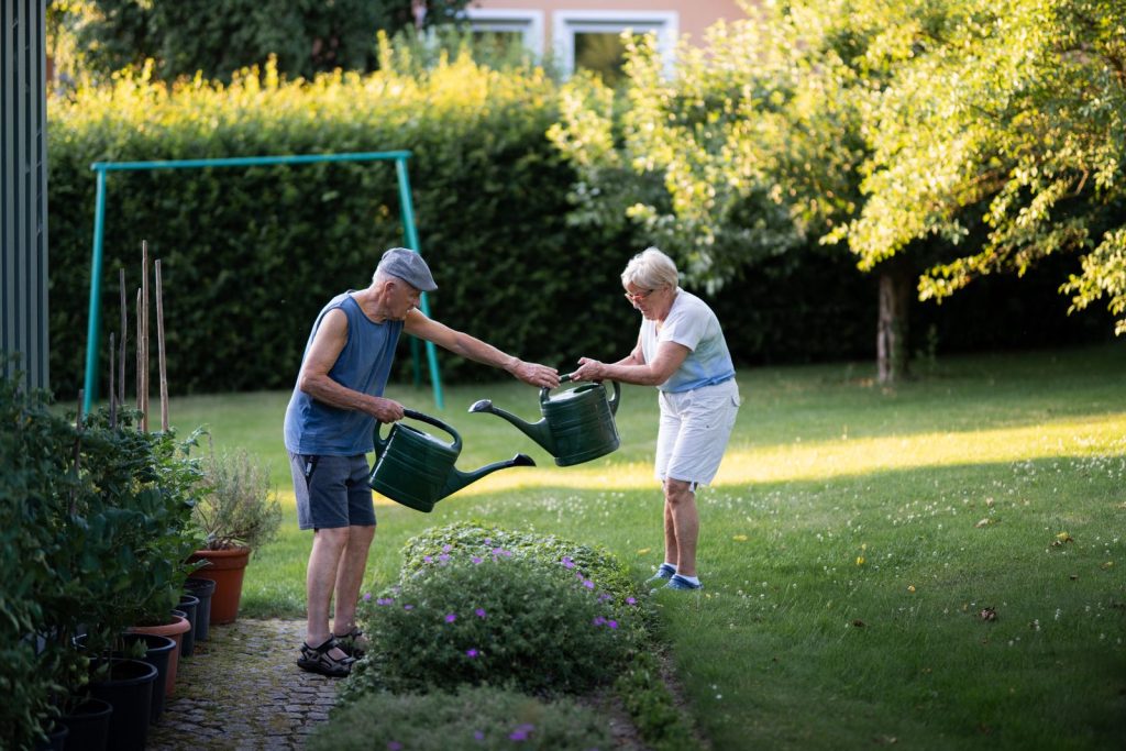 Two gardeners watering a lawn and garden border