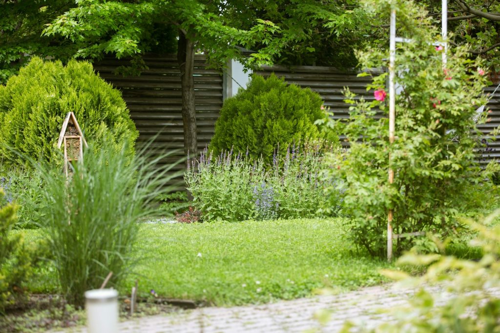 Well-kept garden with a stone path, layered shrubs and a birdhouse